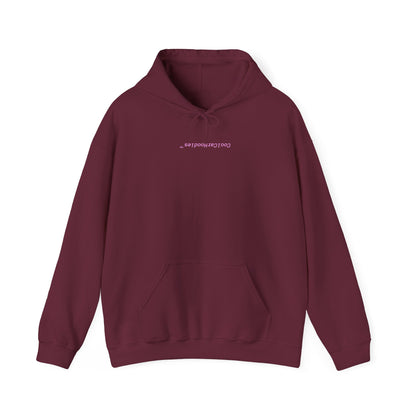 Formula 1 x CoolCarHoodies